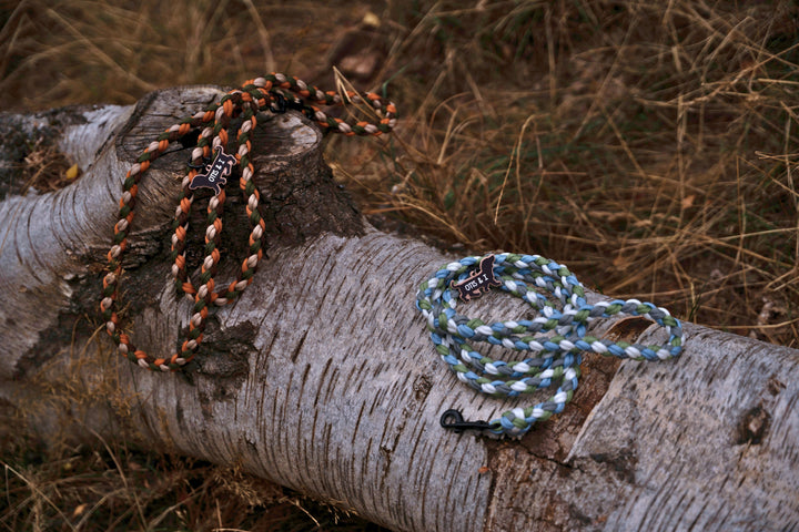 5 Essential Tips to Care for Your Paracord Dog Lead