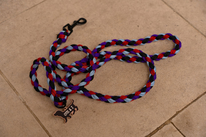 How to Choose the Right Colour for Your Dog’s Lead or Harness