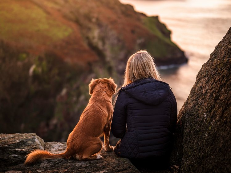 Strengthening Your Bond – 10 Fun Activities for You and Your Dog