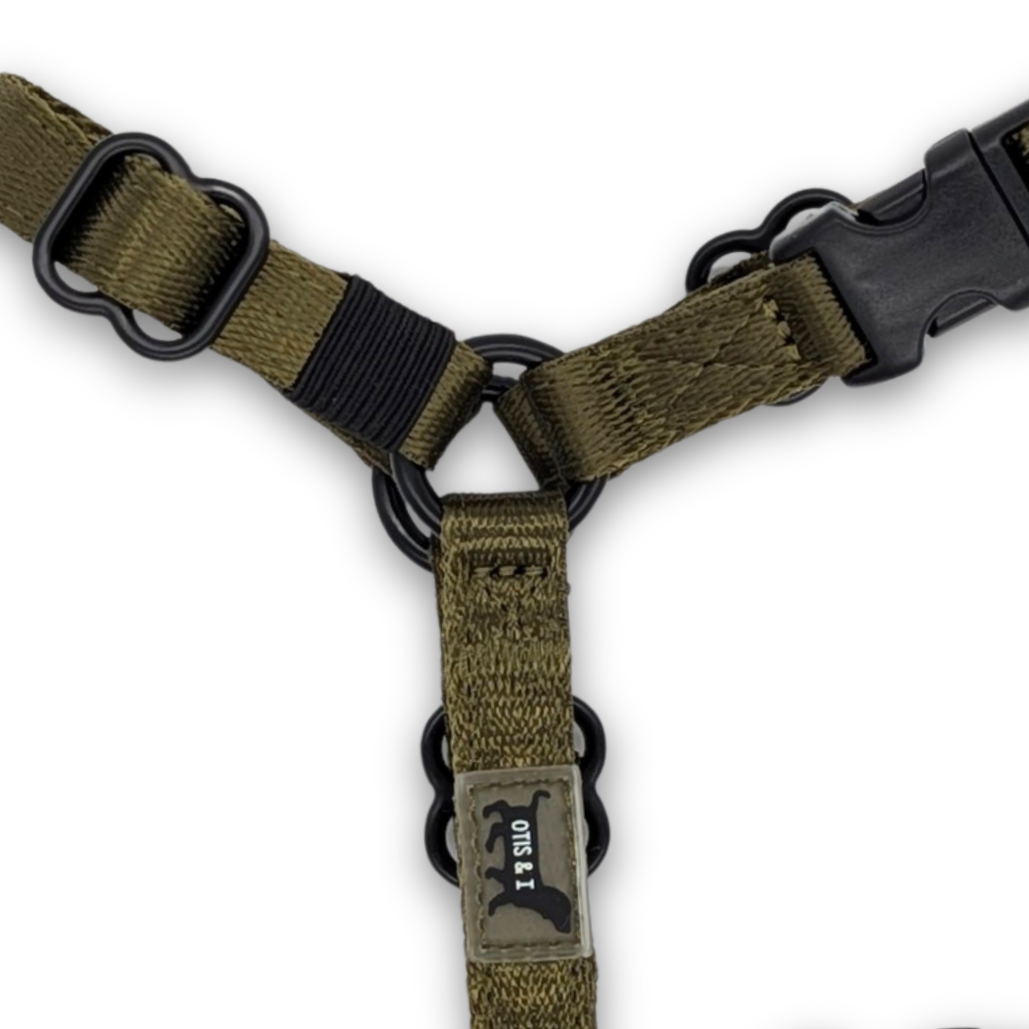 Sage Harness