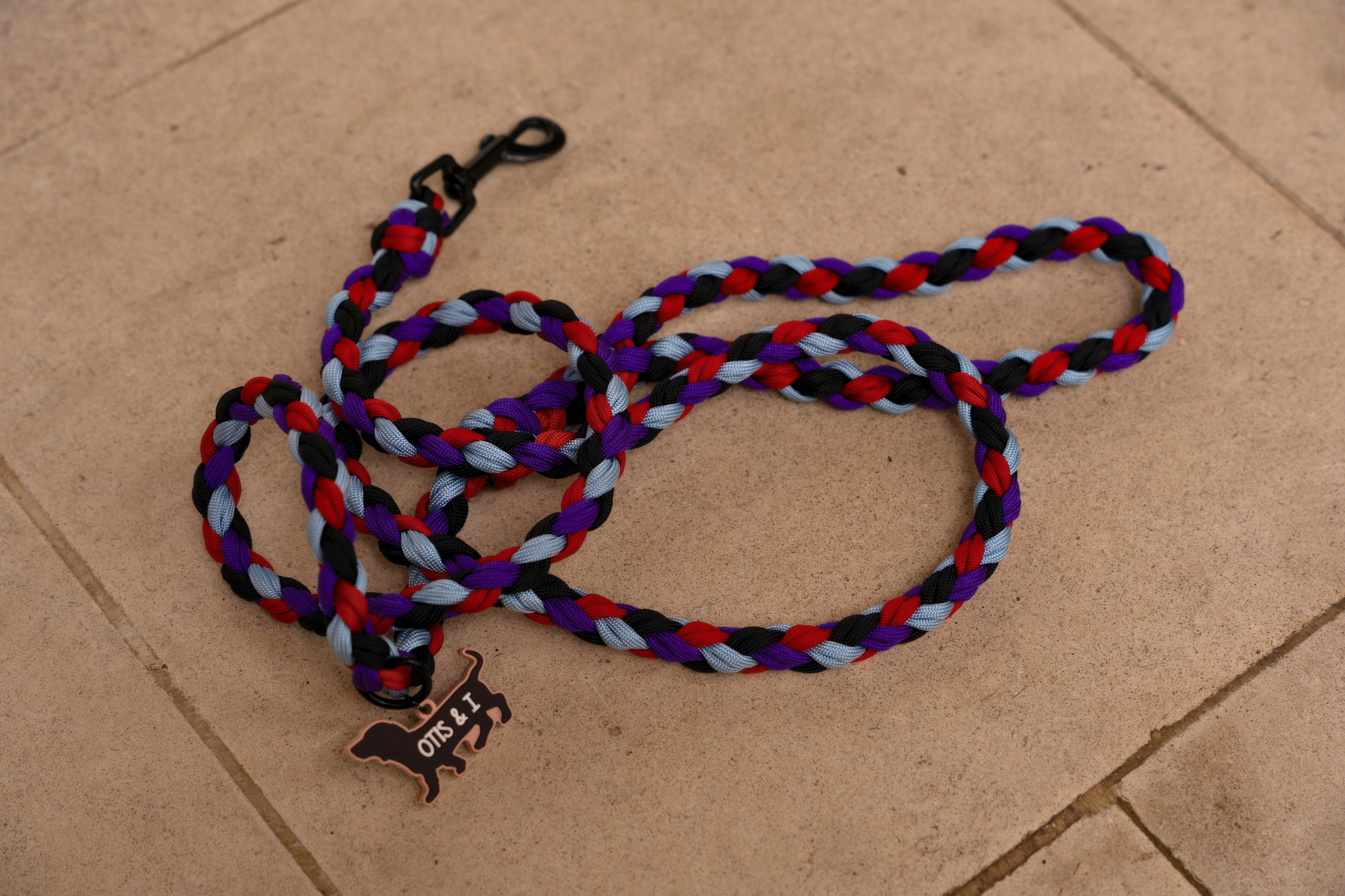 How to Choose the Right Colour for Your Dog’s Lead or Harness