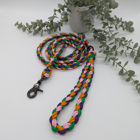 How to Choose the Right Colour for Your Dog’s Lead or Harness
