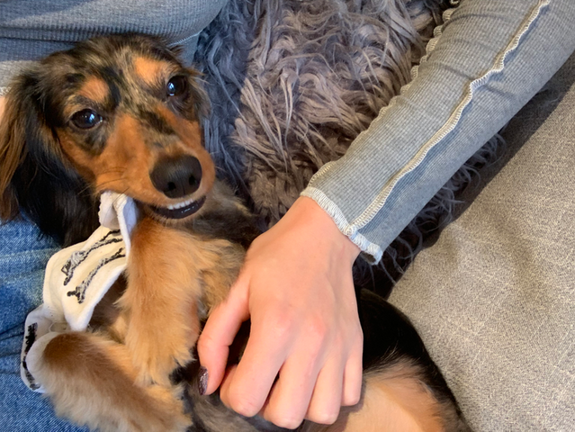 Meet Otis & I – A UK Brand Inspired by the Bond Between You & Your Dog