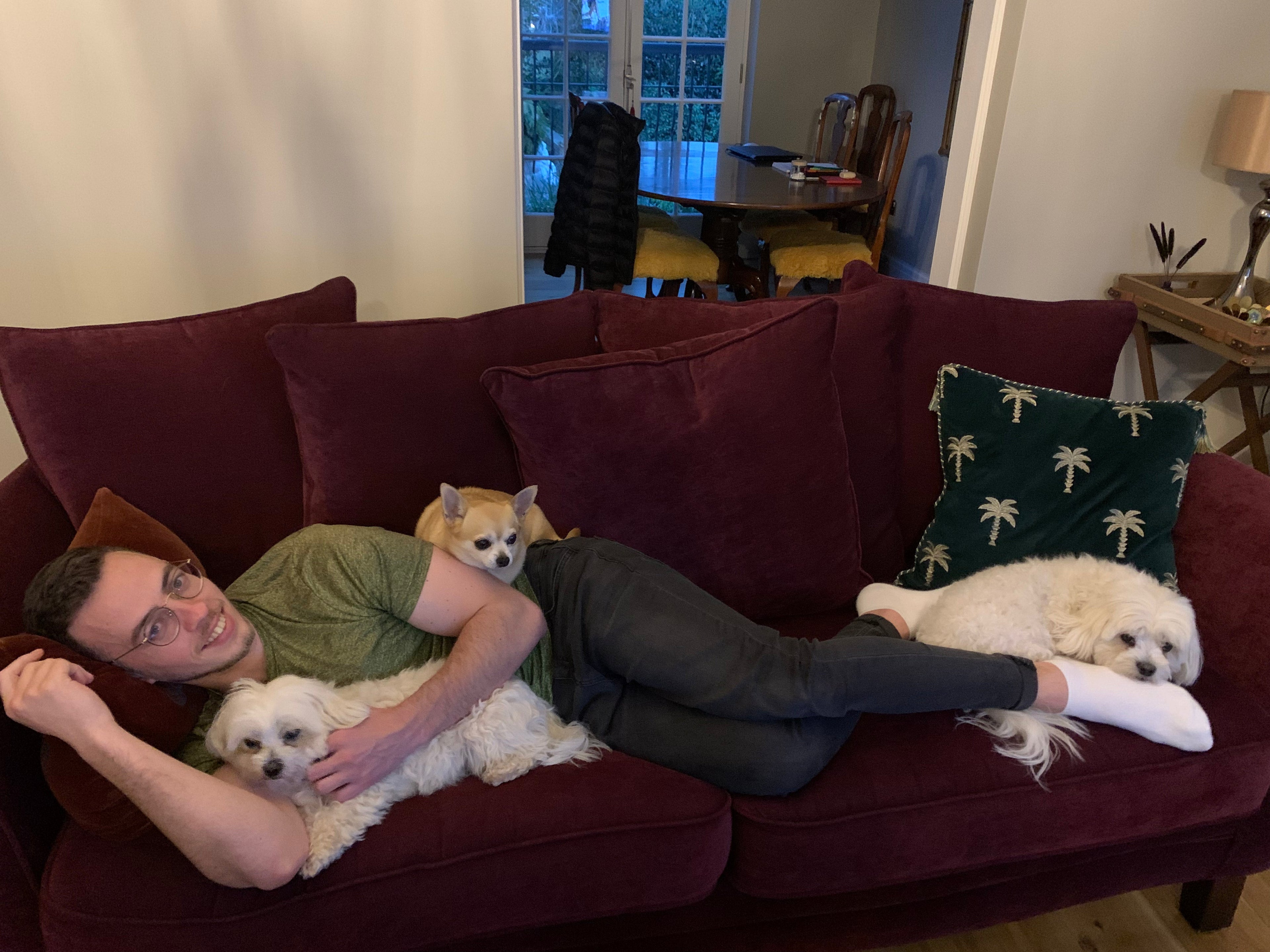 What to Ask Before You Trust a Dog Sitter