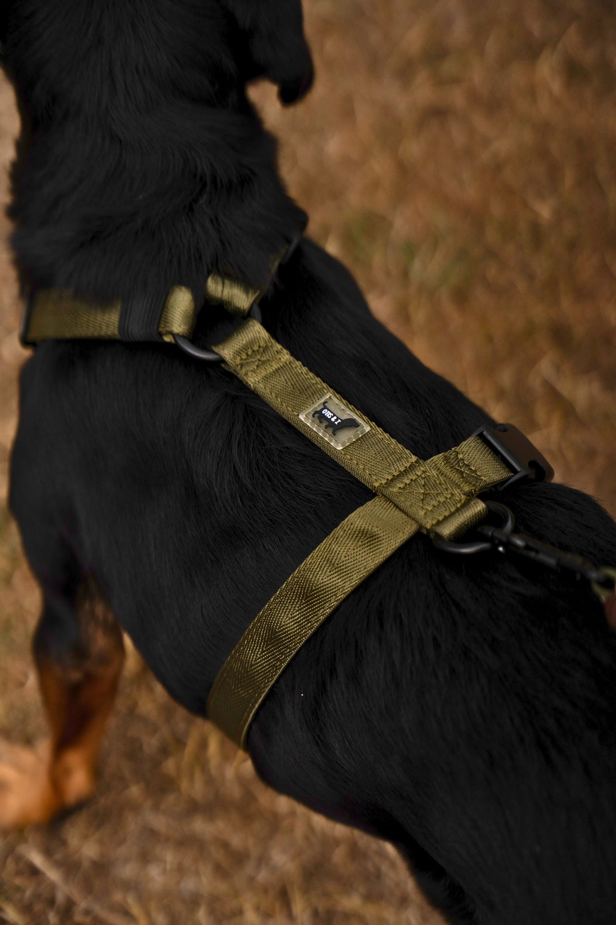 Harnesses