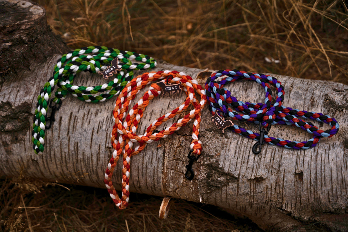 Leads