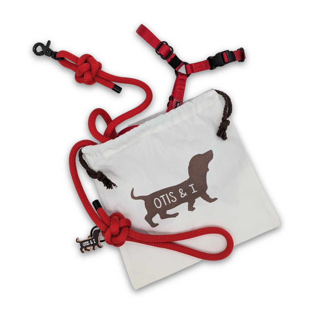 Otis & I Drawstring Bag
