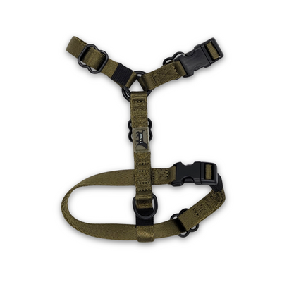 Sage Harness